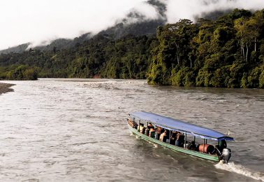 Manu National Park Tour – 7 Days in the Reserved Zone